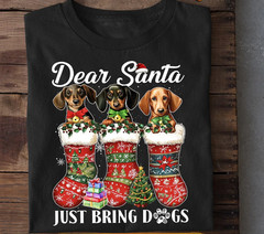 Funny Christmas Dachshund Dog Santa T Shirt All Size S to 5Xl
