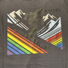 Spyder Mens XL Regular Fit Graphic T Shirt Gray Mountain Ski Rainbow Logo NWT