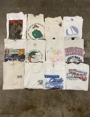 Vintage White T Shirt LOT OF 12 90s Y2K Destination, Nature, & Auto