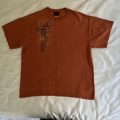 Moab Utah Souvenir Graphic T-Shirt Men XL Burnt Orange Petroglyph Rock Art Tee