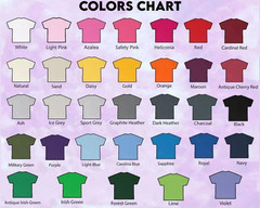 Streetlight Manifesto The Place Behind the Stars Tour T-Shirt PA664