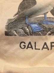 Charles Darwin Galapagos Blue Footed Boobies Bird Nature Shirt XXL See Pics
