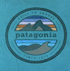 PATAGONIA Men T-Shirt Built To Endure Mountains Graphic Outdoor Teal Size Medium