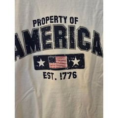Hanes Heavyweight Property of America Graphic T-Shirt White Adult Small S 1776