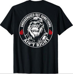 (ON Back) Undiagnosed But Something Ain’t Right Funny Saying T-Shirt