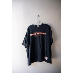 Majestic MLB San Francisco Giants Spring Training Cactus League T-Shirt Black XL
