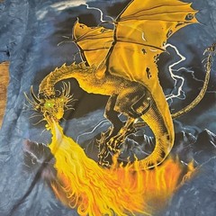 Vintage The Mountain T Shirt Men’s Medium Blue Fire Breathing Dragon Leather Tag