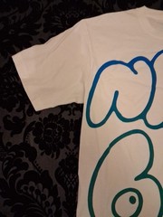 Nike 6.0 White T Shirt Size Medium Vintage Green Blue Print