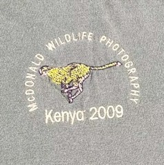 McDonald Wildlife Shirt Mens Medium Cheetah Kenya Photography 2009 Cat Adult A31