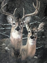 The Mountain Mens T-shirt Vintage 2001 Gray Deer Mates Leather Tag Large #6704