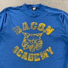 Vintage 90s Bacon Academy T-shirt Wildcats Paper Thin Blue Mens Large