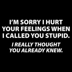 Sorry I Called You Stupid Sarcastic Humor Graphic Novelty Funny T Shirt