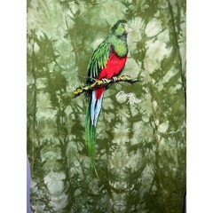 Tropic Joes Costa Rica Quetzal Bird Green Tie Dye Graphic T-Shirt Mens Medium