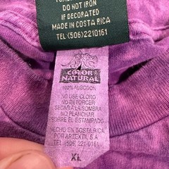 Color Natural Costa Rica Iguana Tie Dye T-Shirt Mens XL Purple Green Graphic