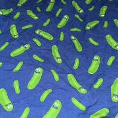 Adult Swim Rick & Morty Men’s Juniors Medium 100% Cotton Collared Pickle Rick
