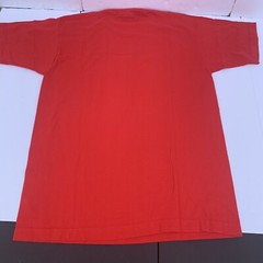 Vintage 90s Fruit Of The Loom Shirt L USA Single Stitch Retro Festival Graphic