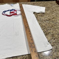 Vintage Champion Shirt Men’s Small American Flag Logo Gray Red White Blue USA Cp