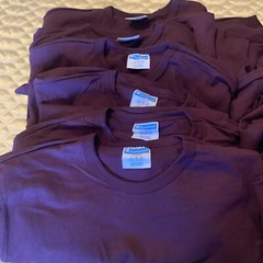 Vintage Champion Maroon Plum Heavy Weight Cotton T Shirt Large Unisex Lot Of 12