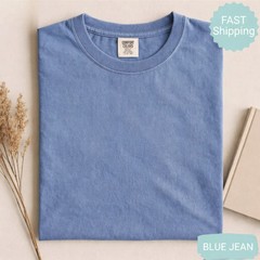 Comfort Colors Anti Trump Protest Shirt He Is on the List Besties Tee