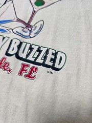 Size XL – Vintage Y2k Spring Break 2004 “Absolutely Buzzed” Florida Liquor Tee