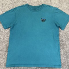 PATAGONIA Men T-Shirt Built To Endure Mountains Graphic Outdoor Teal Size Medium