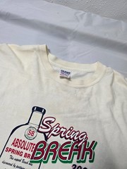 Size XL – Vintage Y2k Spring Break 2004 “Absolutely Buzzed” Florida Liquor Tee