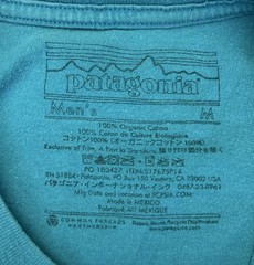 PATAGONIA Men T-Shirt Built To Endure Mountains Graphic Outdoor Teal Size Medium