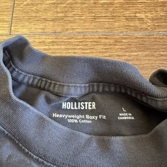 Hollister Heavyweight Boxy Fit Costa Rica Bear Graphic T-Shirt Men’s L Black