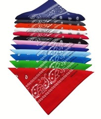 FANNI YOUPIN 100% Cotton Fine thick Bandanas Fashion Scarf for Men Women Pais…