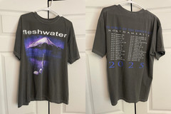 Fleshwater Band In Search Of The Endless Sky 2 Sided T Shirt Full Size S-5XL