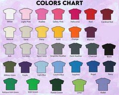 Zach Bryan Tour With Heaven On Tour Charlotte, NC Apr 18, 2026 T-Shirt