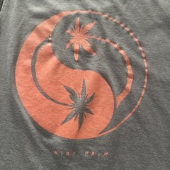 Soli Surf Costa Rica Men’s T Shirt Medium, Cotton Poly Blend “Stay Palm” Graphic