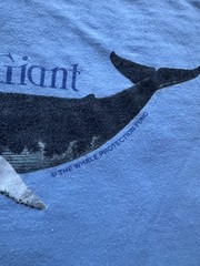 True Vintage 1970s “Gentle Giant” Humpback Whale Wildlife Conservation T-Shirt L