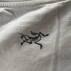 Arcteryx alpine academy T-shirt Men’s Size M
