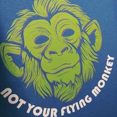 Personalized Custom T-Shirt Customized w/Photo, Text, Logo DTG on Gildan Shirts*