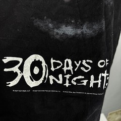 RARE 30 DAYS OF NIGHTS 2007 SHIRT BY GENTLE GIANT TEE MOVIE PROMO SIZE L