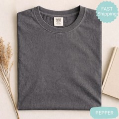 Comfort Colors Anti Trump Protest Shirt He Is on the List Besties Tee