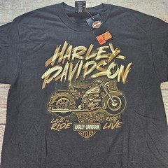 Harley-Davidson T-Shirt Men’s Black M 100% Cotton Motorcycle Graphic Tee