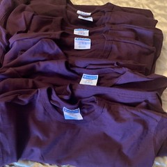 Vintage Champion Maroon Plum Heavy Weight Cotton T Shirt Large Unisex Lot Of 12