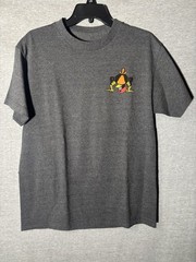 Men’s Lot Of 12 T-Shirts Nike SB Santa Cruz Thrasher Bucky Lasek Giants Sz M