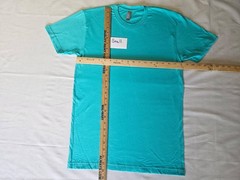Next Level Apparel Crew Neck T-Shirts Mens 3600 & 3900