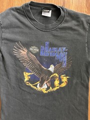 Vintage Black Harley Davidson Eagle Ann Arbor Shirt Men’s Small